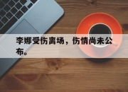 IM电竞体育平台-李娜受伤离场，伤情尚未公布。